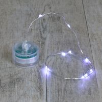 Guirlande Waterproof Argent 10 Micro LED Blanc Froid