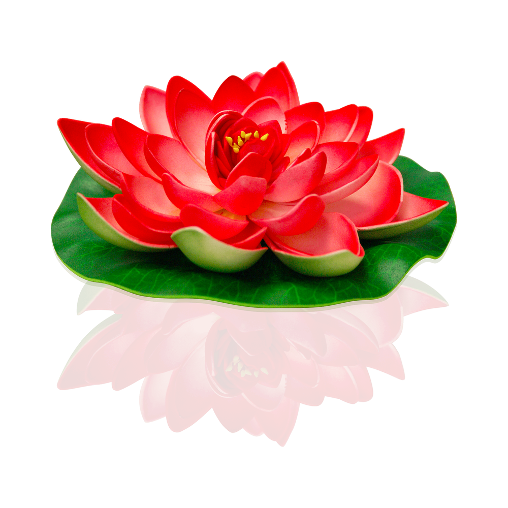 Lotus Natural Rouge
